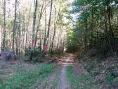  Blick auf die Wanderstrecke 